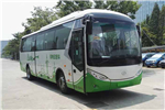 武汉WH6101GBEV公交车(纯电动24-40座)