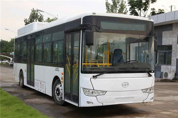 武汉WH6102GBEV1公交车(纯电动19-40座)