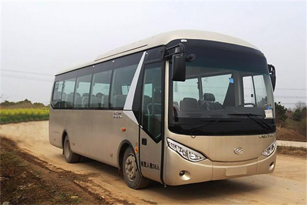 武汉WH6801BEV1客车(纯电动24-38座)