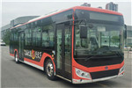奇瑞万牌WD6117BEVG03公交车(纯电动19-39座)