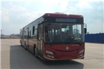 广西申龙HQK6188BEVB公交车(纯电动25-43座)