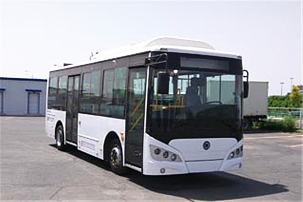 广西申龙HQK6819BEVB11公交车(纯电动14-29座)