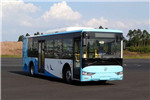 大运CGC6101BEV1K2公交车(纯电动17-36座)