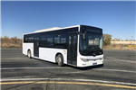 黄海DD6109EV17公交车(纯电动19-41座)