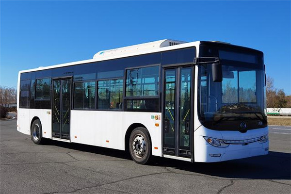 黄海DD6109EV18公交车(纯电动17-33座)