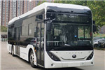 宇通ZK6106FCEVG6公交车(燃料电池20-39座)