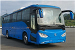 天津比亚迪TJK6110CBDEV公交车(纯电动23-48座)