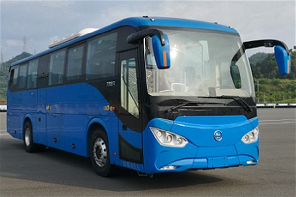 天津比亚迪TJK6110CBDEV公交车(纯电动23-48座)