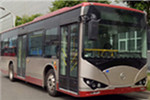 天津比亚迪TJK6102BEV公交车(纯电动30-38座)