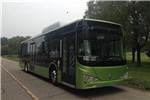 天津比亚迪TJK6124BEV公交车(纯电动28-42座)