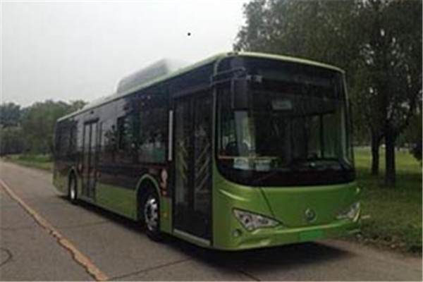 天津比亚迪TJK6124BEV公交车(纯电动28-42座)