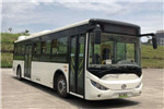 通工TG6101GBEV3公交车(纯电动23-42座)