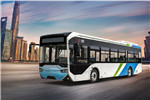 浙江中车CSR6121GLEV5公交车(纯电动17-45座)