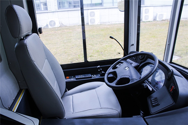 浙江中车CSR6100GCHEV1公交车(柴油/电混动国五25-38座)