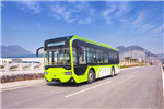 浙江中车CSR6100GNCHEV2公交车(天然气/电混动国五25-35座)