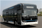 远程JHC6101BEVG21低入口公交车(纯电动20-38座)