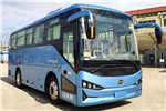 比亚迪BYD6810C4EV1公交车(纯电动24-34座)