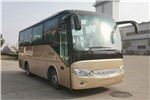 安凯HFF6750A5D6Z客车(柴油国六24-32座)