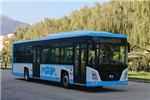 五龙FDE6121PDABEV01低地板公交车(纯电动19-44座)