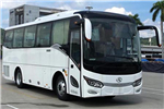 金龙XMQ6885AYD6T客车(柴油国六24-40座)
