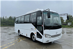 海格KLQ6759KAE61客车(柴油国六24-32座)