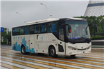 中车时代TEG6110BEV10公交车(纯电动24-48座)