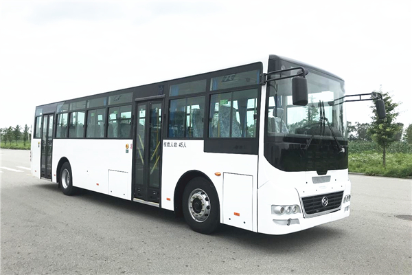 黄海DD6111C22客车(柴油国六24-45座)
