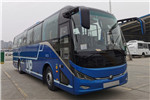 宇通ZK6117BEVT32客车(纯电动24-52座)