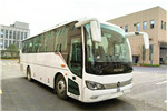 福田欧辉BJ6906U6AHB-N1客车(柴油国六24-40座)