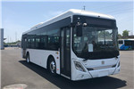 中车电动TEG6112BEV01低地板公交车(纯电动20-36座)
