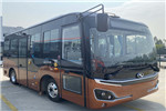 金龙XMQ6601WGBEVL公交车(纯电动10-19座)