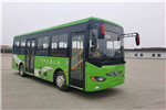 东风旅行车DFA6800EBEV7公交车(纯电动14-29座)