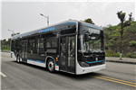 吉利远程JHC6121BEVG10低入口公交车(纯电动22-46座)